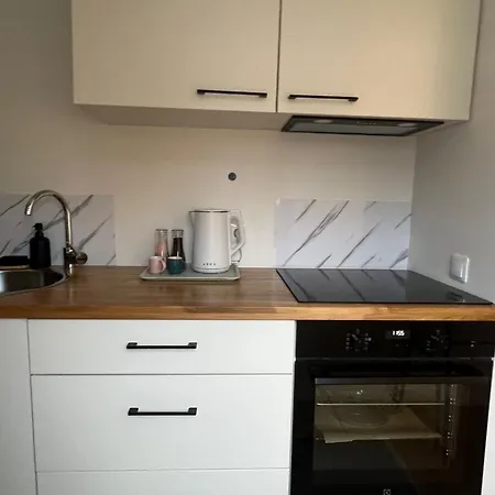 Charming On Eveles Street * ריגה